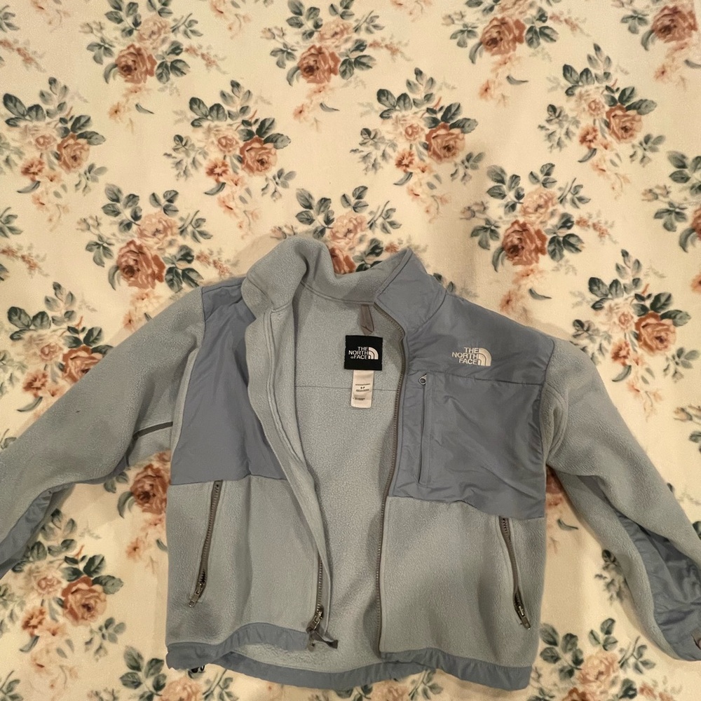 The North Face Light Blue Fleece Jacket